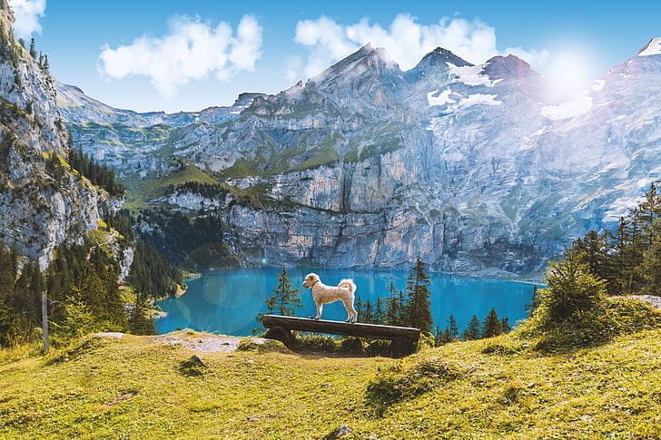 Turquoise alpine lake surrounded by Swiss mountains